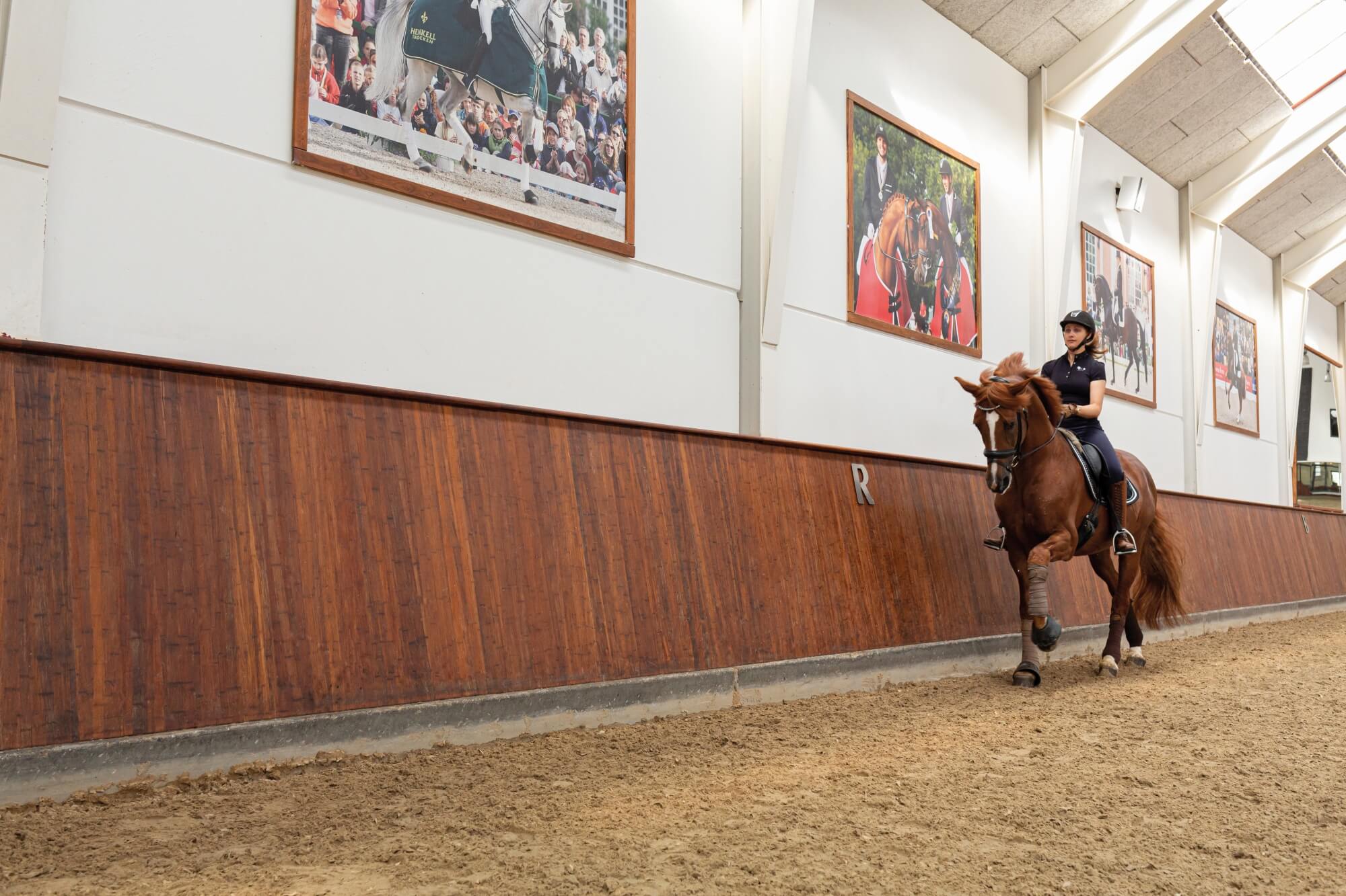 Horse riding barriers in horse arena finished with easy to repair wood finish.